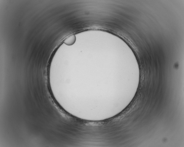 X0000116370898201001131745