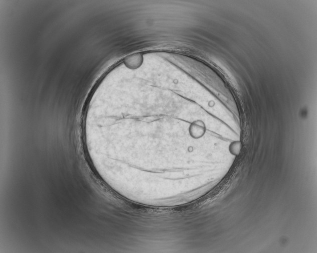 X0000116370899201001131745