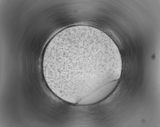 X0000116370900201001131745