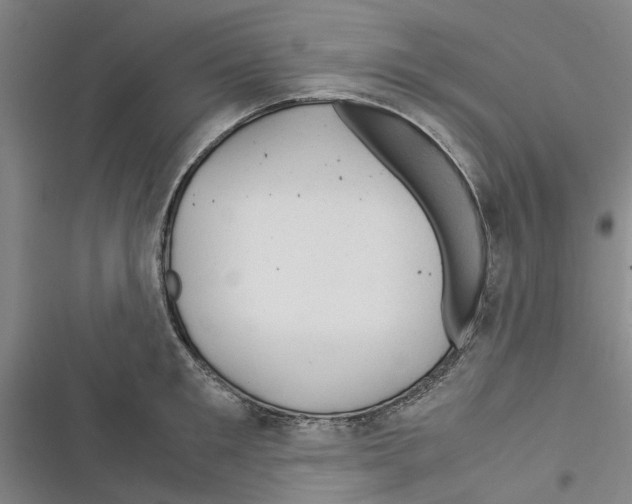 X0000116370901201001131745