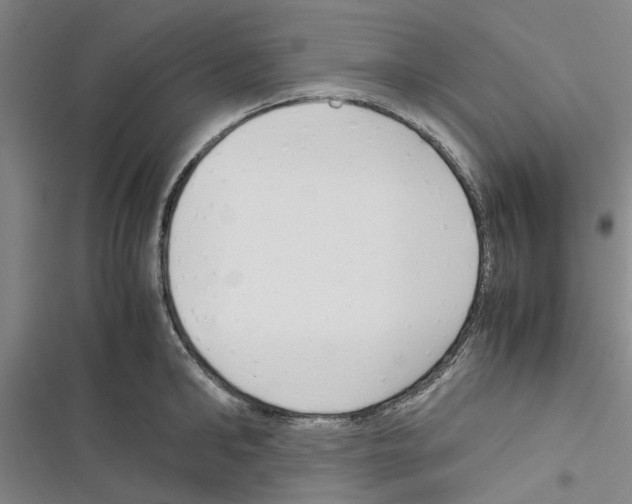 X0000116370902201001131745