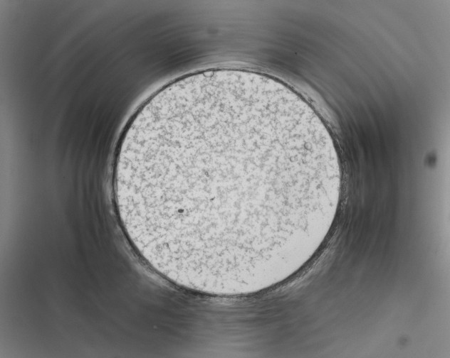 X0000116370904201001131745