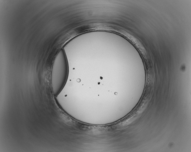 X0000116370905201001131745