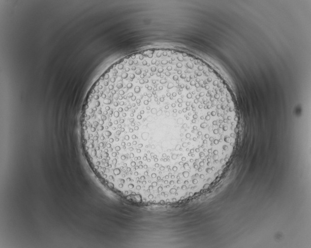 X0000116370906201001131745