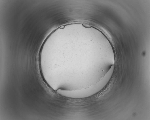 X0000116370907201001131745