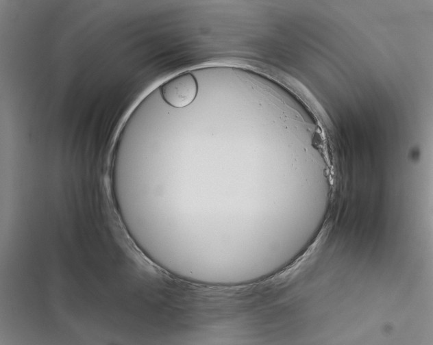 X0000116370908201001131745