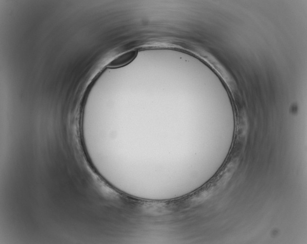 X0000116370909201001131745