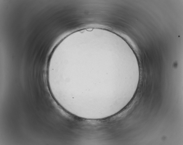 X0000116370910201001131745