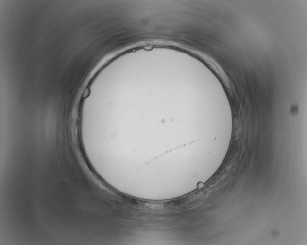 X0000116370911201001131745