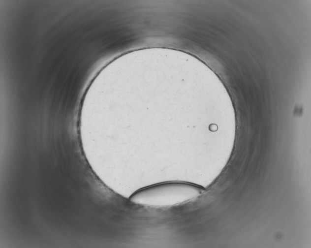 X0000116370912201001131745