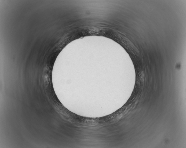 X0000116370914201001131744