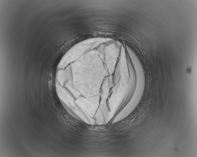 X0000116370915201001131744