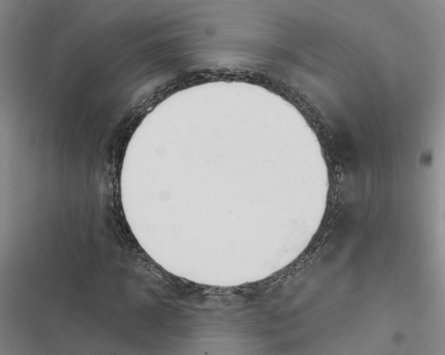 X0000116370918201001131744