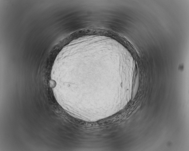 X0000116370919201001131744