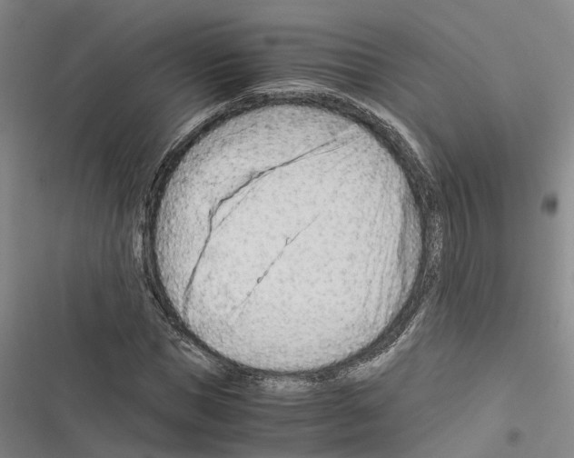 X0000116370921201001131744