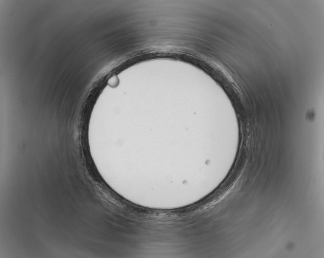 X0000116370922201001131744