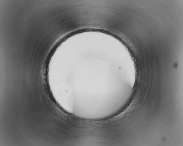 X0000116370926201001131744