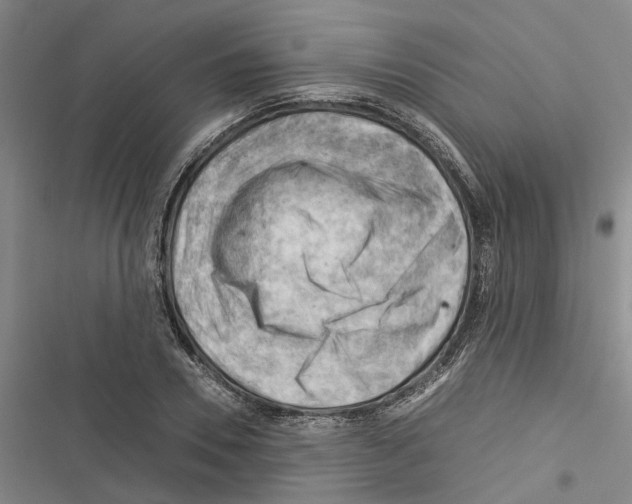 X0000116370930201001131744