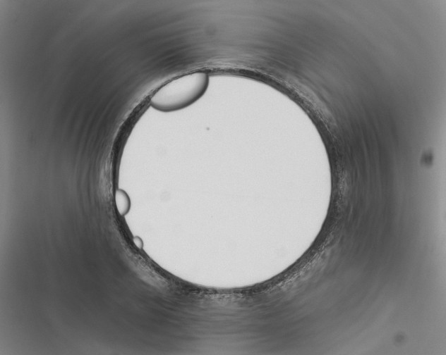 X0000116370934201001131744