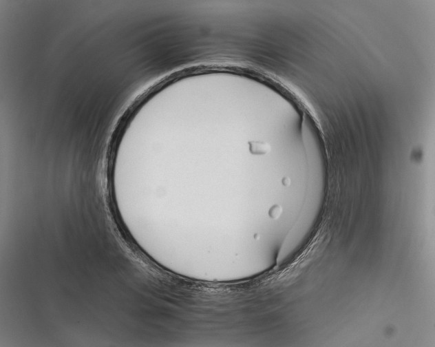 X0000116370935201001131744