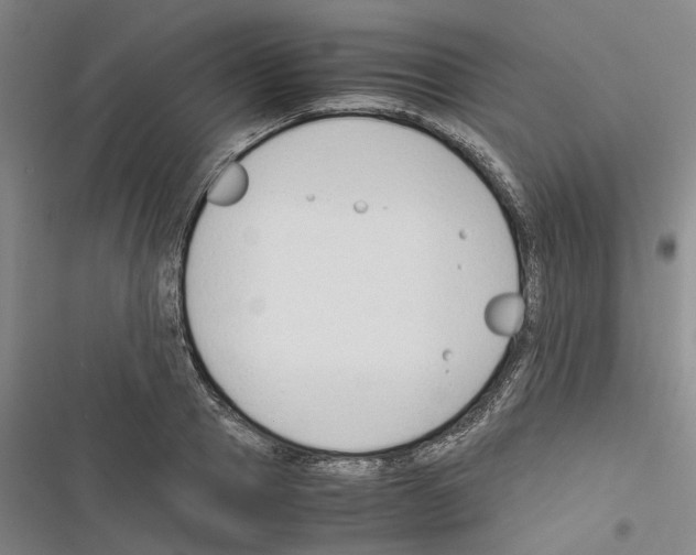 X0000116370937201001131744