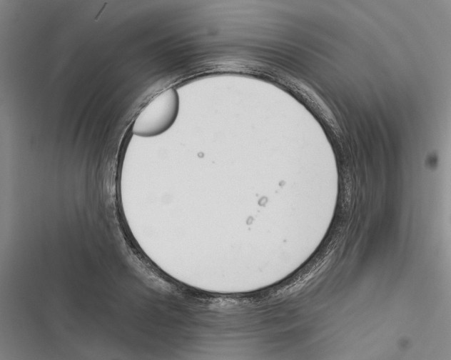 X0000116370938201001131744