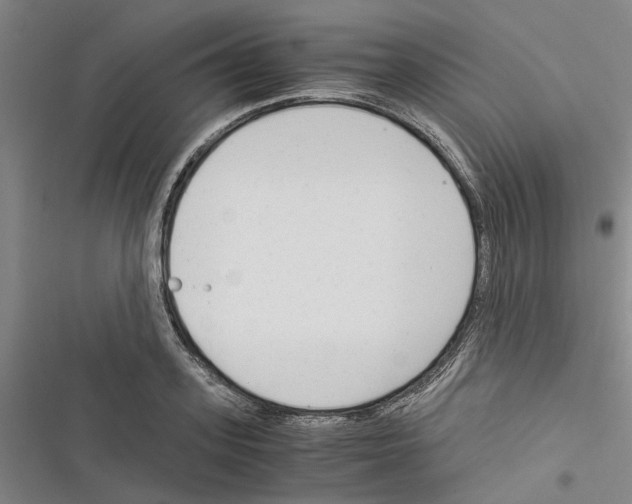 X0000116370939201001131744