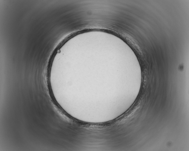 X0000116370942201001131744