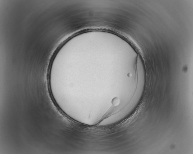 X0000116370943201001131744