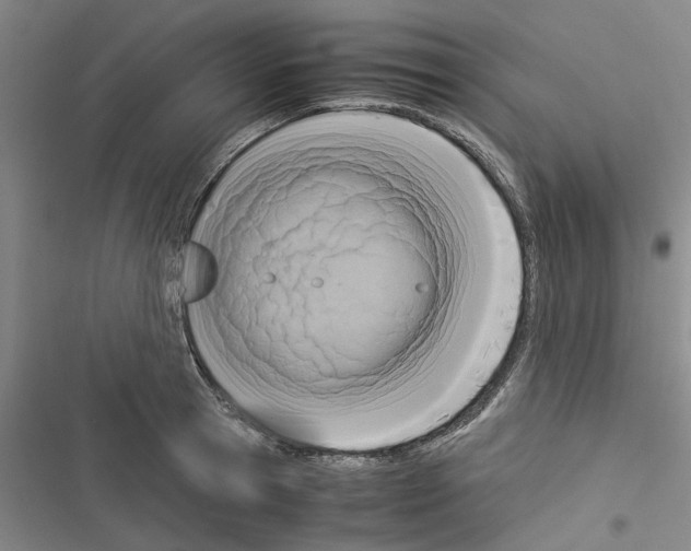 X0000116370945201001131744