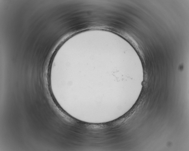 X0000116370947201001131745