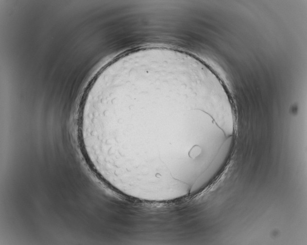 X0000116370949201001131745