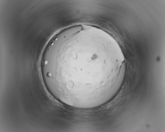 X0000116370950201001131745