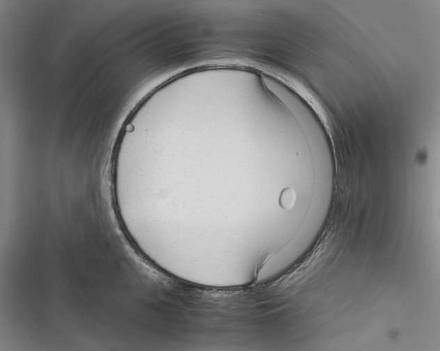 X0000116370951201001131745