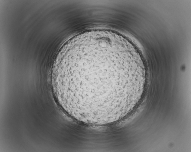 X0000116370953201001131745