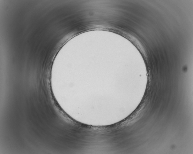 X0000116370954201001131745