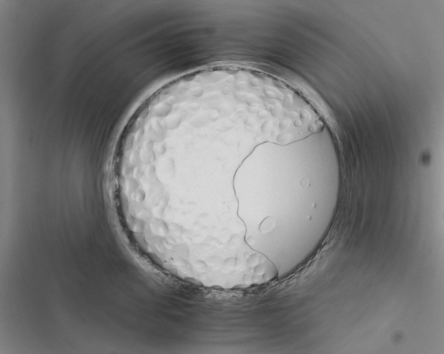 X0000116370955201001131745