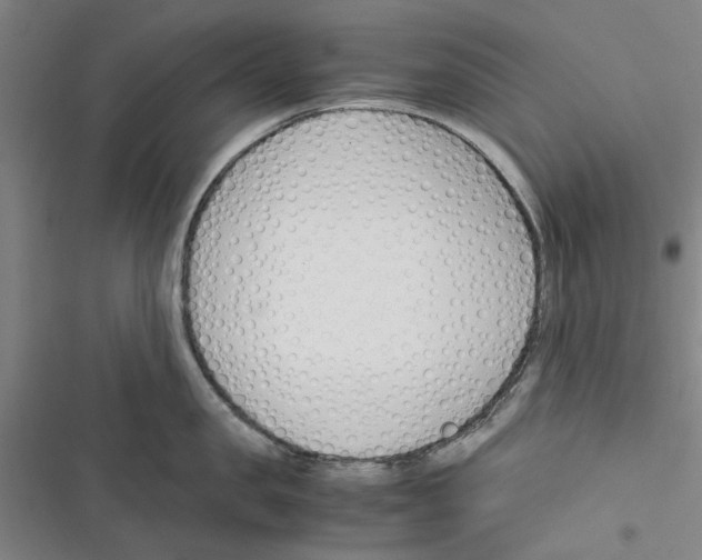 X0000116370957201001131745