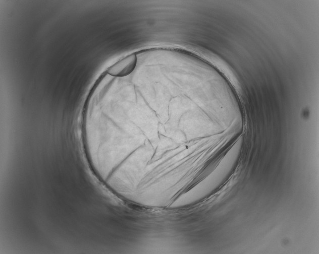 X0000116370958201001131745