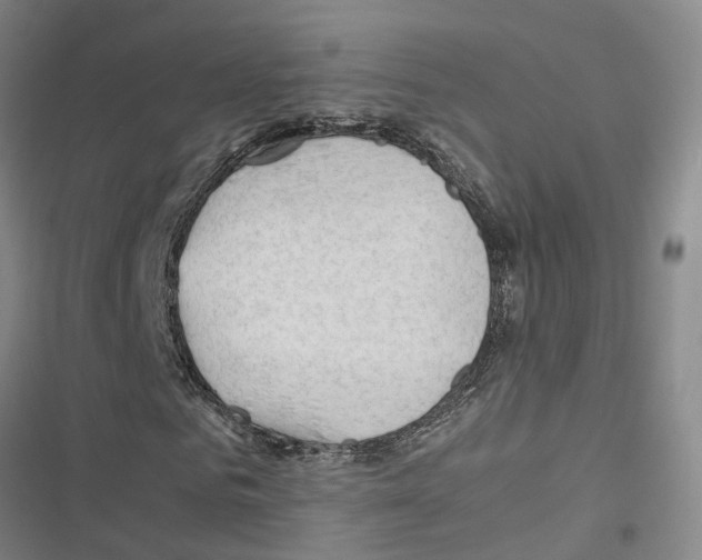 X0000116370961201001131744