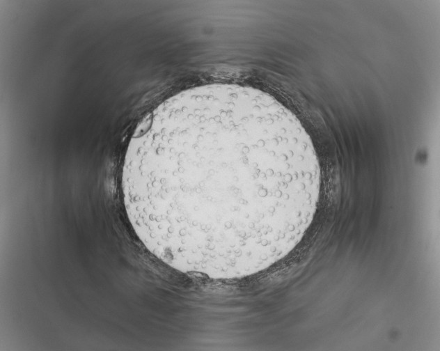 X0000116370962201001131744