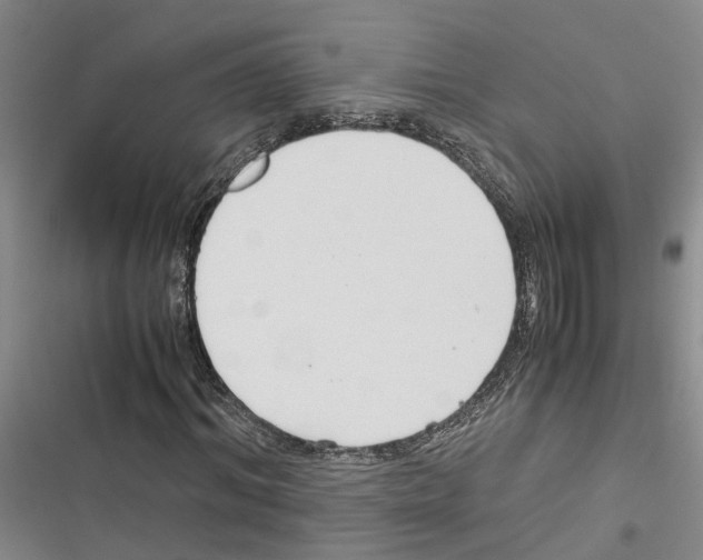 X0000116370964201001131744