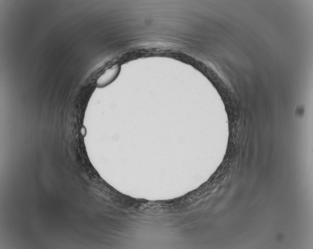 X0000116370967201001131744