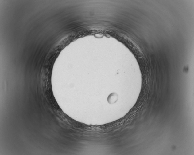 X0000116370968201001131744