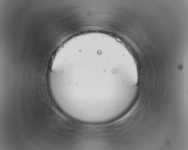 X0000116370969201001131744