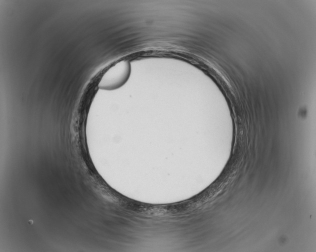 X0000116370971201001131744