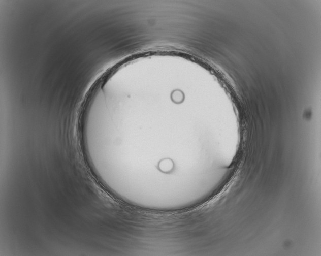 X0000116370973201001131744