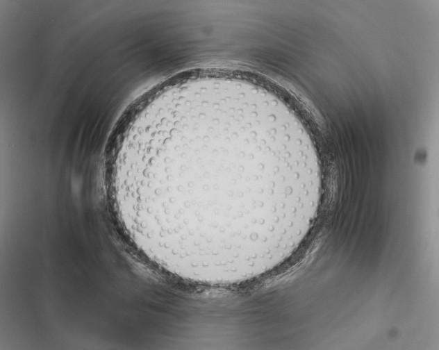 X0000116370974201001131744