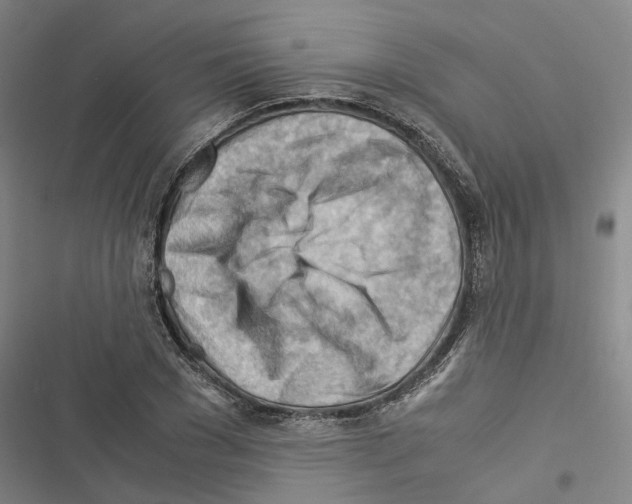 X0000116370977201001131744