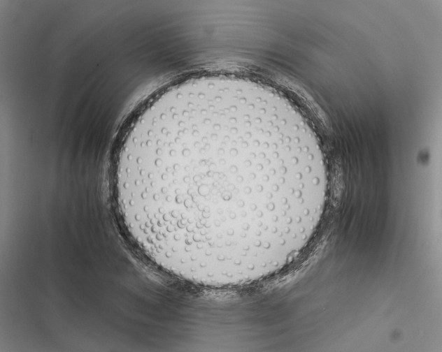 X0000116370978201001131744